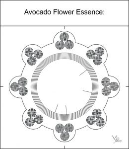 Avocado Flower Essence