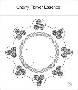 Cherry Flower Essence