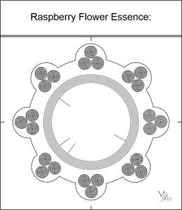 Raspberry Flower Essence: