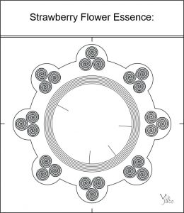 Strawberry Flower Essence:
